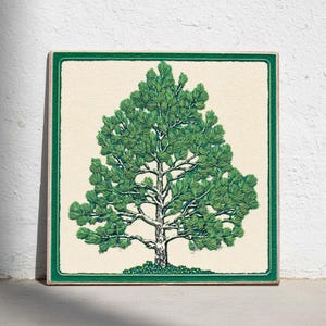 Op de afbeelding: Vierkante decoratieve tegel met een gedetailleerde illustratie van een groene dennenboom. De boom is gecentreerd op een crèmekleurige achtergrond, omlijst door een groene rand. Het kunstwerk toont de stam, takken en dichte, getextureerde bladeren van de boom.
