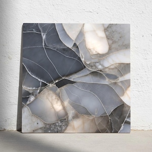 Op de afbeelding: Vierkante decoratieve stenen tegel met een natuurlijk, abstract patroon. De tegel heeft een mix van grijze, witte en beige tinten met delicate witte adering. Het algehele ontwerp lijkt op een geologische formatie of een close-up van een mineraal.