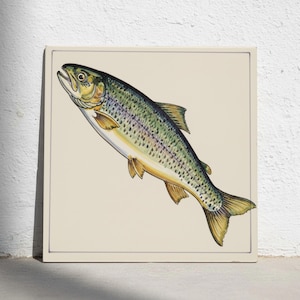Può includere: Una stampa artistica da parete quadrata che presenta un'illustrazione dettagliata di una trota. Il pesce è raffigurato di profilo, inclinato verso l'alto, con un corpo verde e giallo coperto di macchie scure, ventre bianco e pinne gialle su sfondo color crema.
