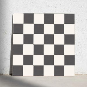 Può includere: Un pannello quadrato di piastrelle caratterizzato da un motivo a scacchiera ripetuto con quadrati alternati grigio antracite scuro e bianco sporco. La griglia è composta da sei righe e sei colonne di quadrati singoli, creando un design geometrico uniforme.