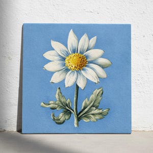 Peut inclure: Impression sur toile carrée représentant une illustration de marguerite. La marguerite a des pétales blancs, un centre jaune, des feuilles et une tige vertes, sur fond bleu clair. L'œuvre est de style botanique vintage.