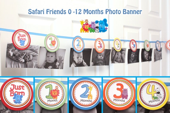 Safari Banner Safari Friends Picture Banner Jungle 1 year Banner 12 Months Photo Banner Hanger (DIY Digital File Printable) Il_570xn
