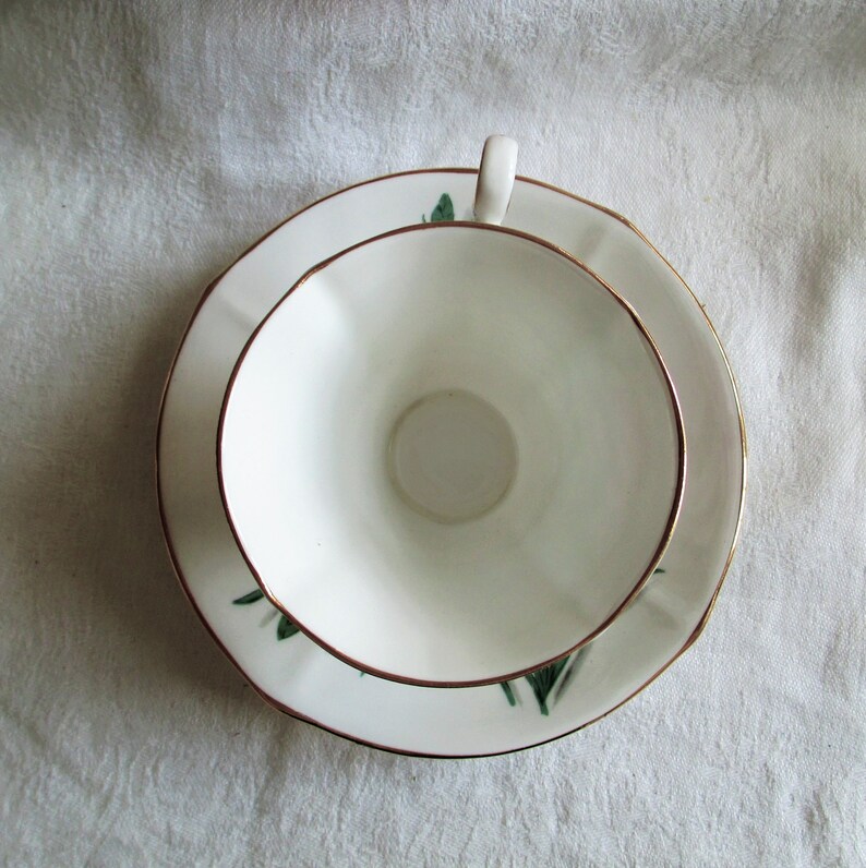 Roslyn Carnations Fine Bone China England Tea Cup and Saucer Etsy