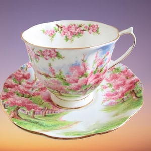 Royal Albert Blossom Time Series Pink Fine Bone China England Teacup And Saucer Pretty Teacup, Tea Party