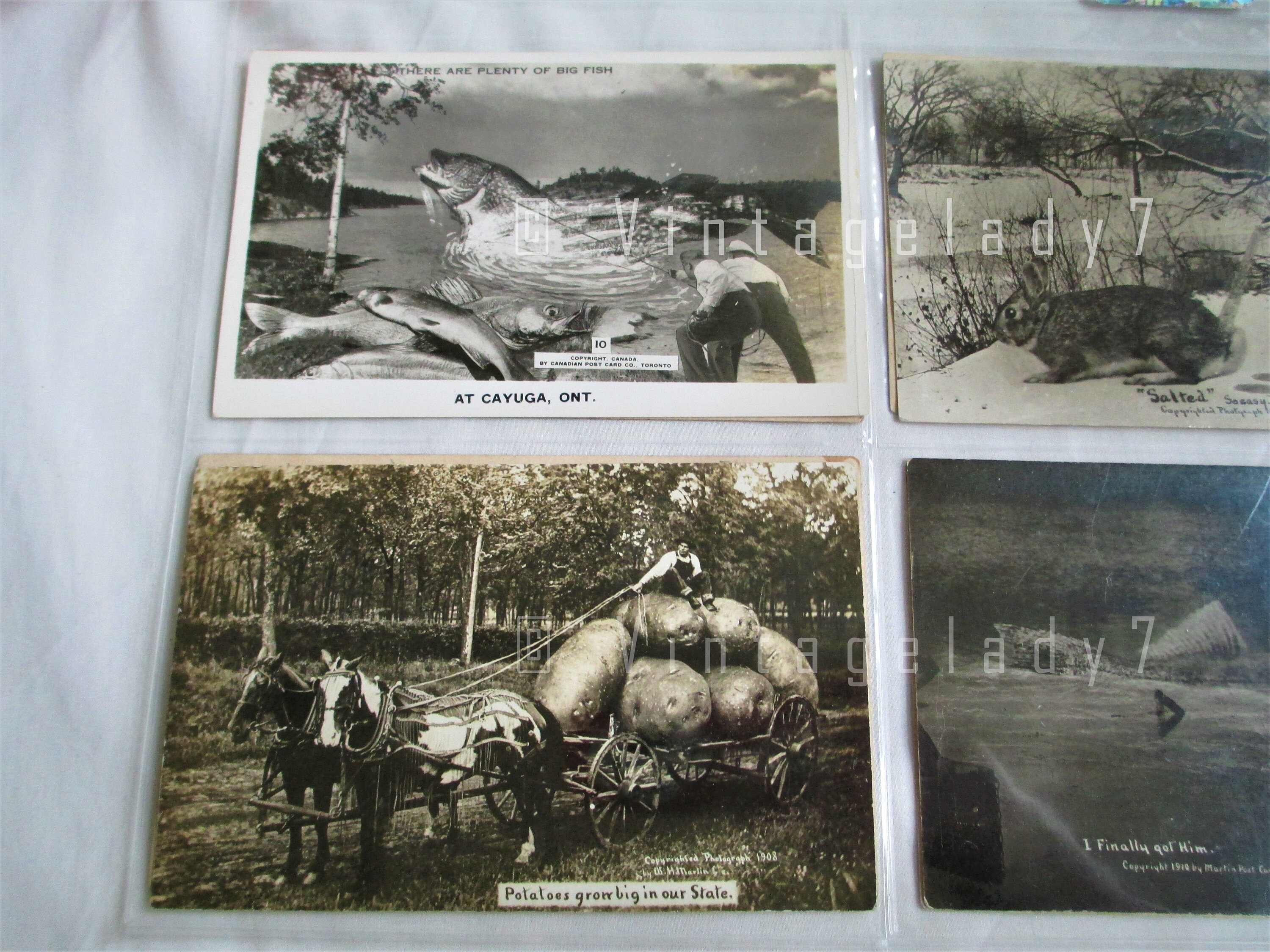 Vintage Postcard Lot Of 8 Exaggerated Real Photo postcards W.H Etsy