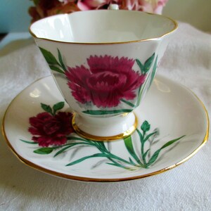 Roslyn Carnations Fine Bone China England Tea Cup and Saucer Floral, Tea Party,  Antique Bone China Tea Cup Vintage Teacup Set