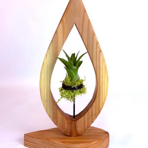 May include: A wooden teardrop-shaped sculpture with a small green plant inside. The sculpture is made of light-colored wood and has a base. The plant is surrounded by green moss and held in place by a black ring.