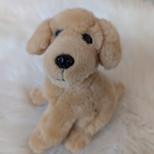 May include: A plush, tan-colored puppy dog with black eyes and a black nose. The stuffed animal is sitting upright with its front paws extended. The dog has floppy ears and a soft, furry texture. A children's toy.