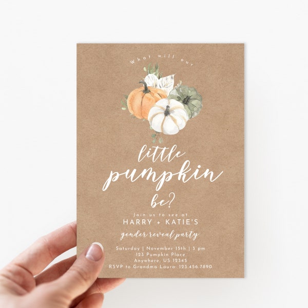 Fotohintergrund 'Boy Or Girl' – 2,4x1,8 M, Vinyl, Rosa/blaue Kürbisse | Für Babyshootings, Geburtstagsfeiern, Personalisierbar