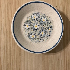 Lenox Temperware Stengods Dessertstallrikar - Daggdroppar