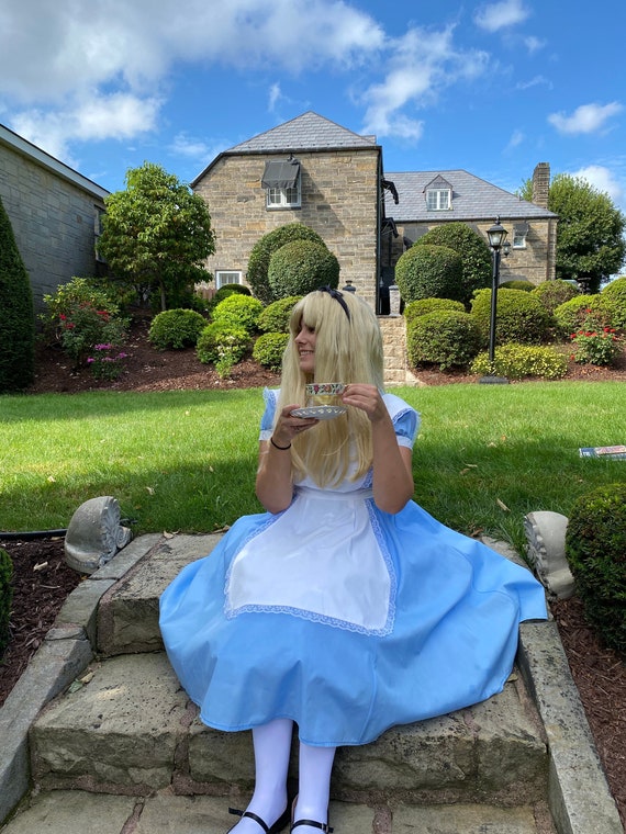 Alice In Wonderland Disney Dress | vlr.eng.br