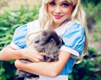 ALICE IN WONDERLAND movie costume for adults