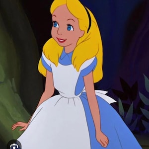 ALICE IN WONDERLAND movie costume for adults