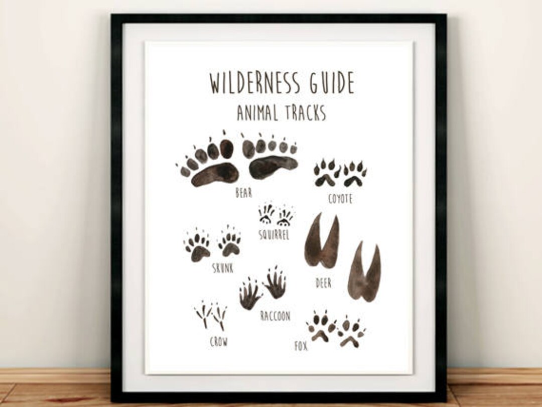 Animal Tracks Printable Wall Art, Wilderness Guide Nursery Art Print, Woodland Field Guide, Boys ...