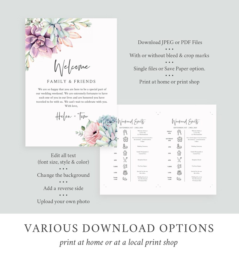 Succulent Editable Welcome Bag Letter Itinerary, Cactus Wedding Timeline, Printable Order of Events Template, Desert, Instant Download 535-A image 4