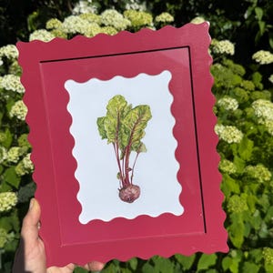 May include: A rectangular picture frame with a scalloped edge in a deep red finish. The frame contains a white mat with a matching scalloped inner border, surrounding a centred botanical illustration of a single beet with green leaves.