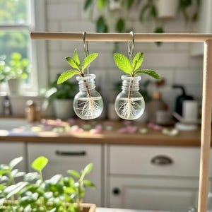 May include: Two small glass bottles, each with a sprig of green leaves and visible white roots, hang from a wooden rod. The bottles are suspended by silver hooks. The background shows a kitchen with plants and natural light, suggesting a theme of home decor or gardening.