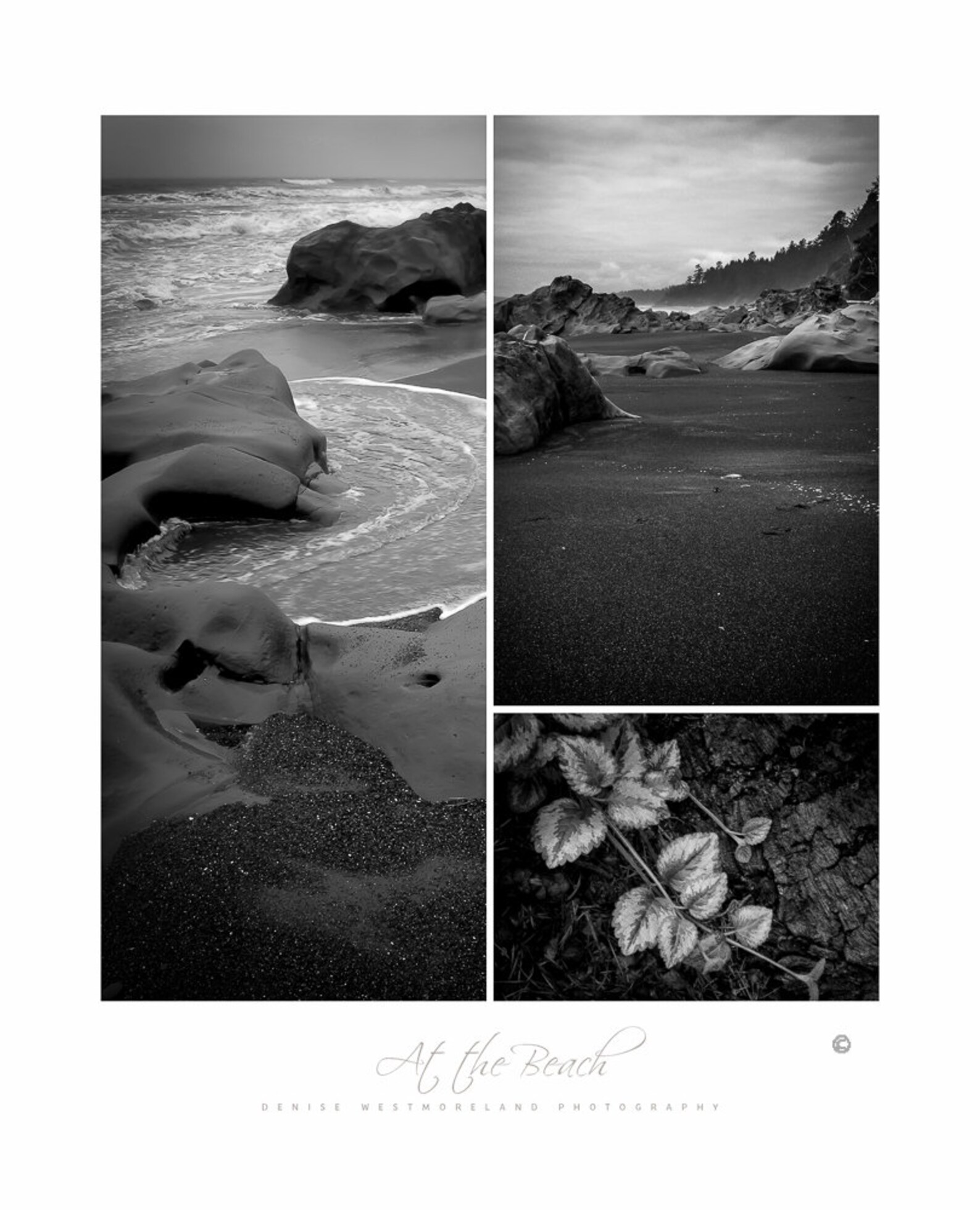 Photography Posters Beach Posters Nature Posters Outdoor Etsy