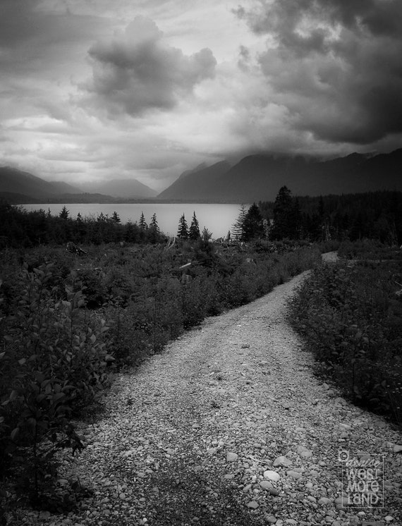 black and white photography nature black and white photography nature