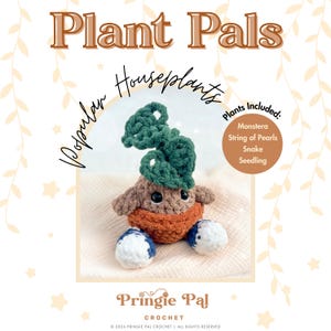 Plant Pals: Popular Houseplants Crochet Pattern