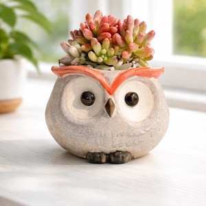 Puede incluir: Una maceta de cerámica con forma de búho con una planta suculenta. La maceta de búho es de color gris claro con detalles en naranja y ojos negros. La suculenta tiene hojas verdes y rojas. La maceta está sobre una superficie blanca.