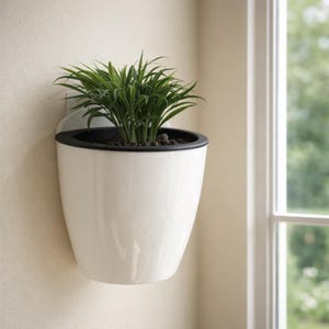 Op de afbeelding: Een witte, aan de muur gemonteerde plantenbak met een zwarte rand, met een groene plant. De plantenbak heeft een glanzende afwerking en is bevestigd aan een lichtgekleurde muur. De plant heeft lange, dunne groene bladeren. Op de achtergrond is een raam zichtbaar.