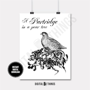 12 dodici giorni di Natale Pernice in albero di pere Stampabile Stampa Digitale Download istantaneo per Arte o Trasferimento a Caldo DT568