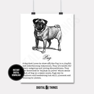 Pug Dog Art Pet Art Definition Art Wall Decor Art Printable Digital Download for Iron on Transfer to Tea Towel Fabric Pillows DT987