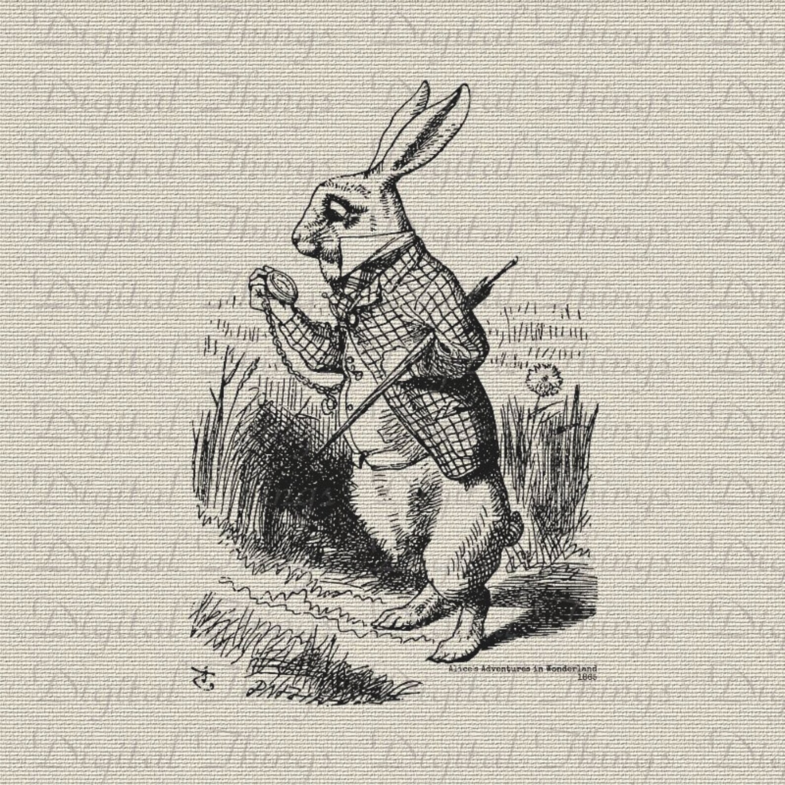 Alice In Wonderland White Rabbit Im Late Lewis Carroll | Etsy