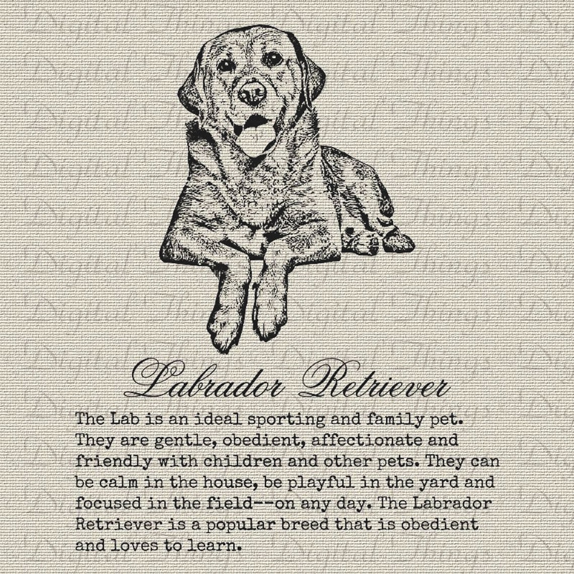 mutt meaning mutt meaning
