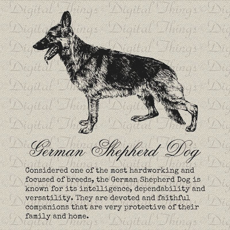 German Shepherd Dog Definition Description Printable Digital Etsy