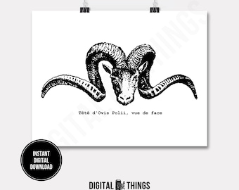 French Ram Sheep Head Horns Nature Art Wall Decor Art Printable Digital Download for Iron on Transfer Tea Towel Fabric Pillows DT217