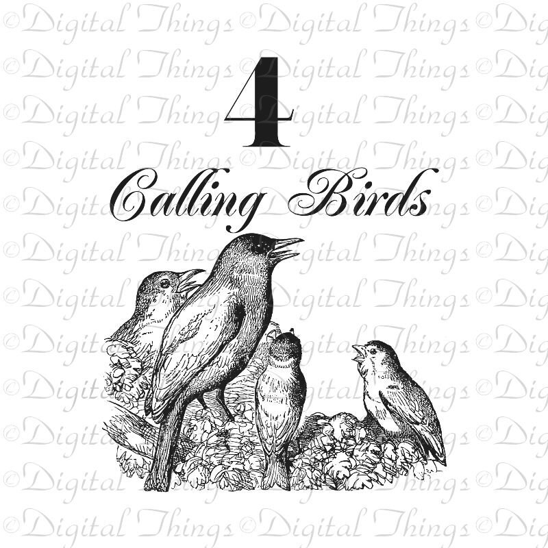 Four Calling Birds Print: 12 Days of Christmas Art Printable (digital ...