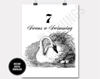 12 Twelve Days of Christmas Seven Swans Swimming Birds Printable Print Digital Instant Download for Art or Iron On Transfer DT1282