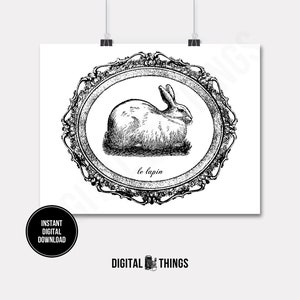 Conejito de Pascua, conejo francés, liebre, Le Lapin, escritura francesa, descarga digital imprimible para transferencia por plancha, almohadas de tela, paños de cocina DT362