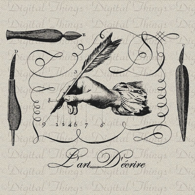 French Script Art of Writing French Decor Wall Decor Art Etsy