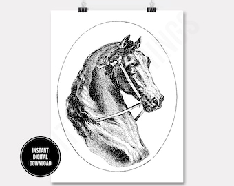 Horse Portrait Equestrian Animal Art Wall Decor Art Printable Digital Download for Iron on Transfer Tea Towel Fabric Pillows DT002