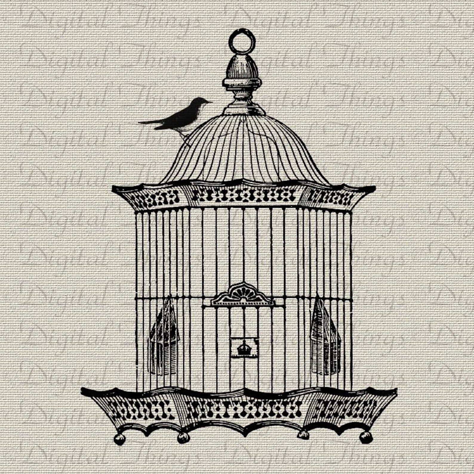 Birdcage Bird Cage With Bird Wall Decor Art Printable Digital Etsy