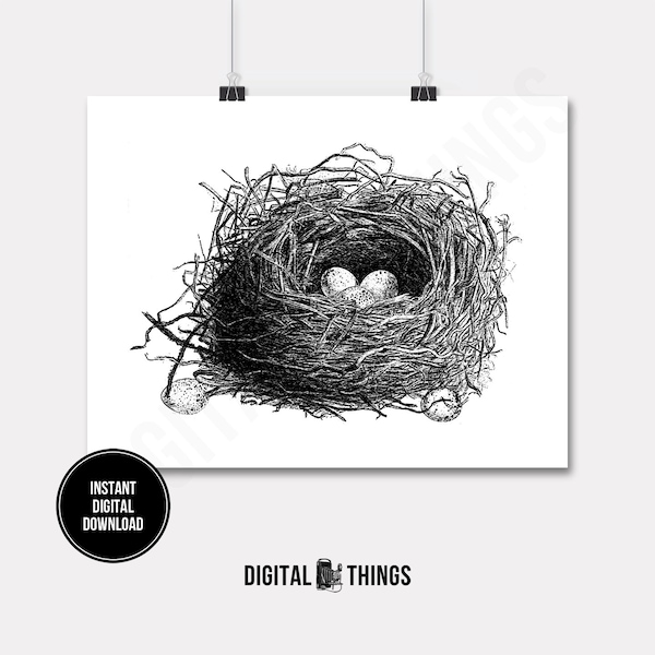 Bird Birds Nest Eggs Wildlife Art Nature Art Wall Decor Printable Digital Download for Iron on Transfer Tea Towel Fabric Pillows  DT391