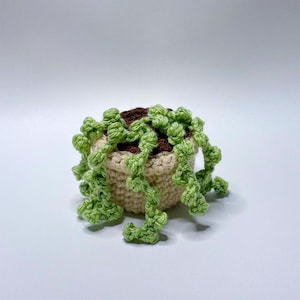 Handmade Crochet String of Pearls Plant, Realistic Trailing Succulent Decor