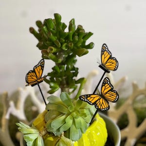 May include: A potted succulent arrangement in a bright yellow ceramic pot. The arrangement is decorated with three butterfly stakes with orange and black wings. The plant has green leaves and stems.