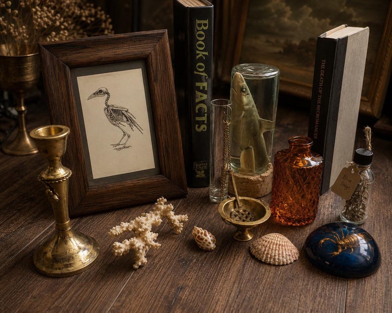 May include: A collection of curiosities including a dark wood framed bird skeleton illustration, a brass candlestick, a shark specimen in a glass jar, a Book of Facts, a textured amber glass bottle, a small glass vial with herbs, and a blue scorpion paperweight.