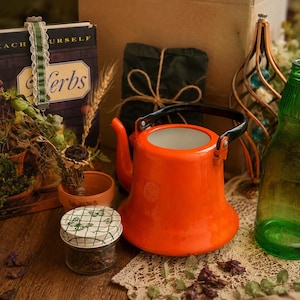 May include: A bright orange teapot with a black handle, a green glass bottle, a small jar with a butterfly-patterned lid, a terracotta pot, and a book titled Teach Yourself Herbs, all arranged together with dried plant elements and a copper wire frame.