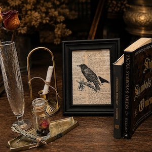 May include: A black picture frame containing a print of a crow on a dictionary page, positioned next to a book titled Signs, Symbols & Omens by Raymond Buckland, a tall textured glass vase with two dried roses, and a small brass tray with a glass vial.