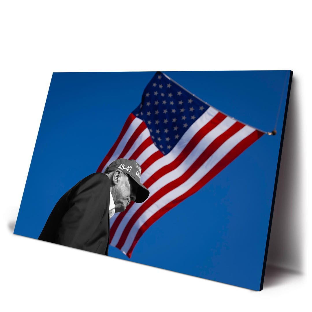 Trump Butler American Flag Poster Canvas Print Home Decor Wall Art - Etsy