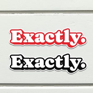 Exactly Affirmation Sticker | Validation and Healing Gift | Waterproof Laptop Journal Water Bottle Sticker
