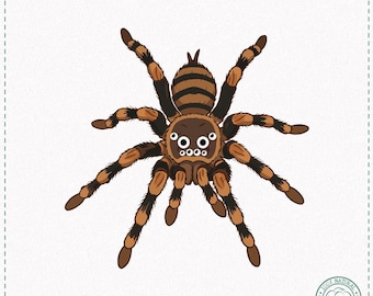 Funny Tarantula with Googly Eyes T-Shirt - for Bug Lovers Gift