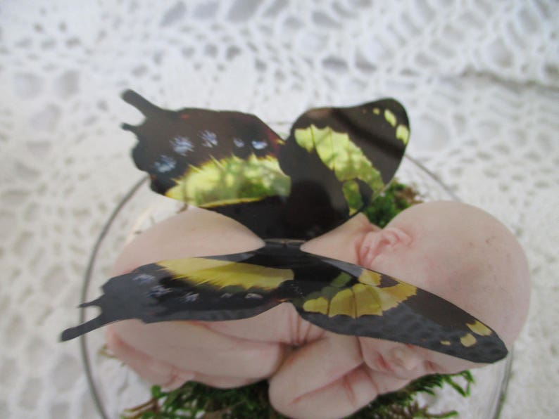 dramatic flutter baby bild 1