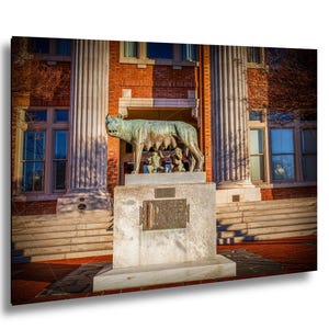 Romulus and Remus Capitoline Wolf in Rome Georgia Sunrise Photo