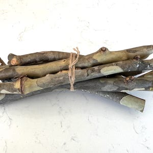 May include: A bundle of natural tree branches tied together with twine. The branches have a mix of gray, brown, and green tones, with visible knots and textures. The bundle is presented on a white surface.
